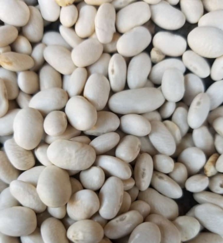 White Kidney Beans from Tanzania